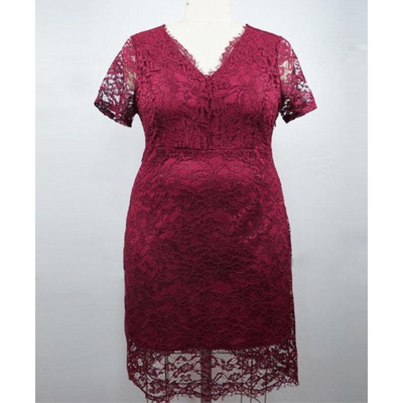 Dresses | Plum Petite Lace Overlay Stretch Dress  –  Womens Clothing Dresses