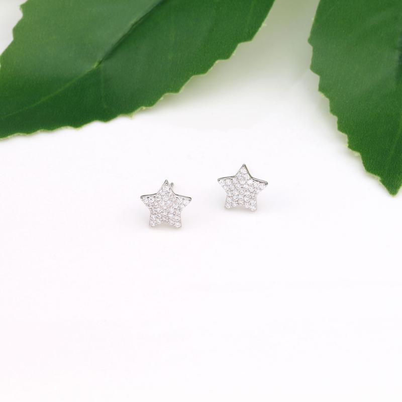 Jewellery | Silver Stainless Steel Plated Star Earrings  –  Womens Accessories Jewellery